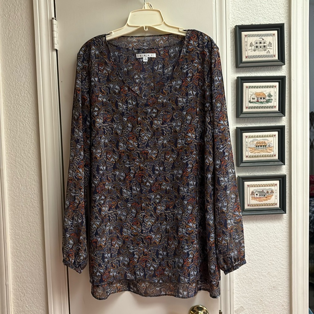 Cabi blouse limited edition